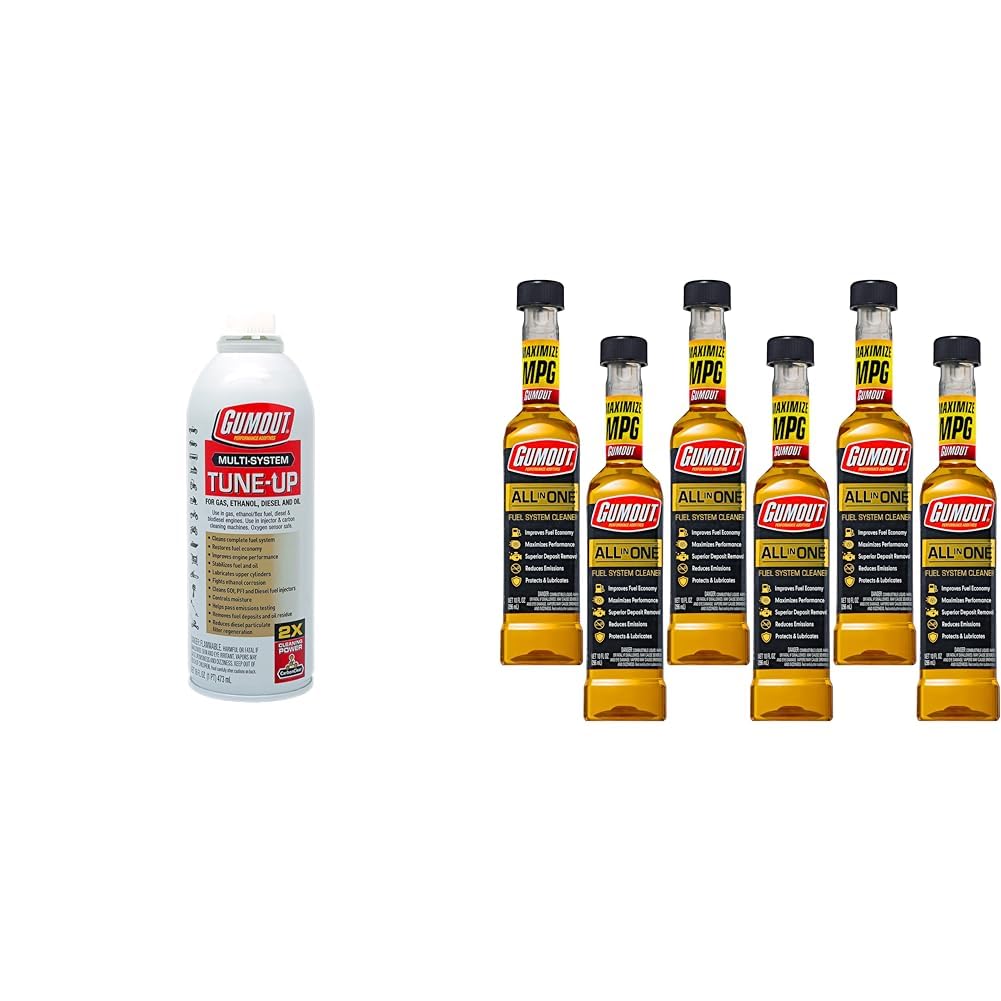 16 oz. and 10 oz. Fuel System Cleaner 6-Pack W4744