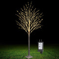 6FT Lighted Birch Tree 500 LED Warm White C1496
