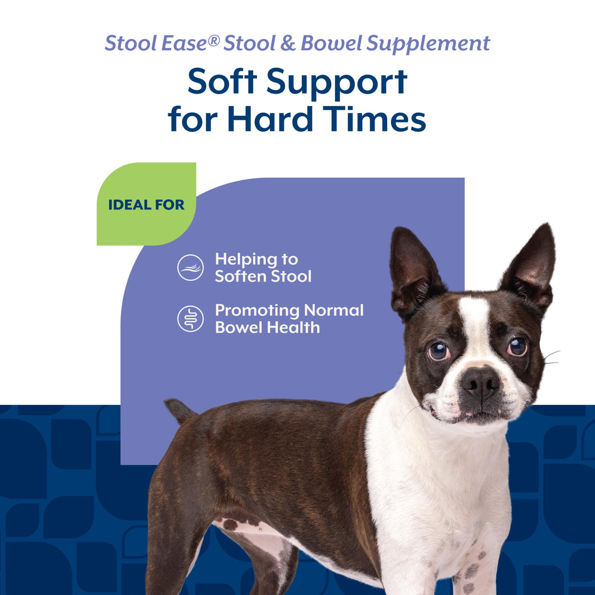 40 Soft Chews Dog Supplement O750391
